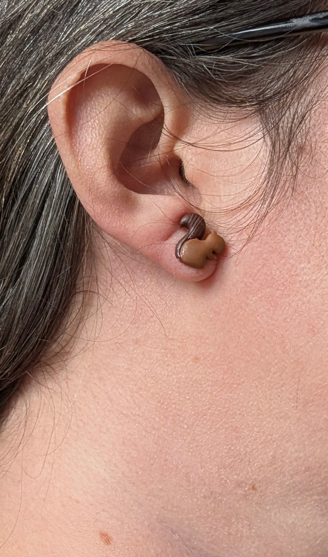 Fall Stud Earring Set – Mushroom, Squirrel, Hat & Squash (Hypoallergenic Titanium)